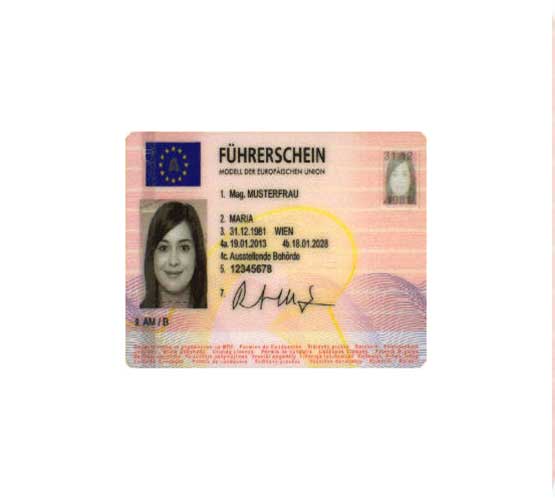 real-fake-european-driver-license