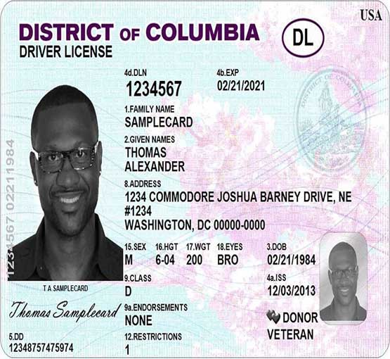 Buy Spanish Driver License