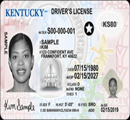 Buy Ukrainian Driver License